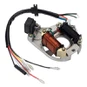2-Pole Dirt Bike ATV Stator Coil
