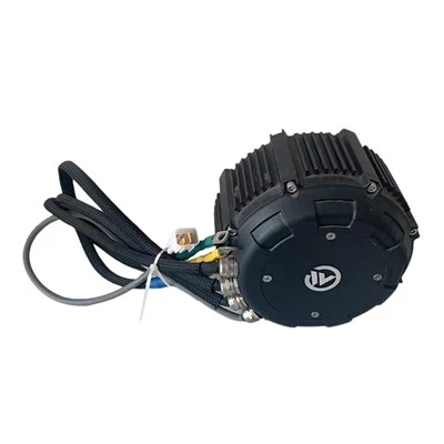 60V 3000W Sab hauv PM Brushless Tsav